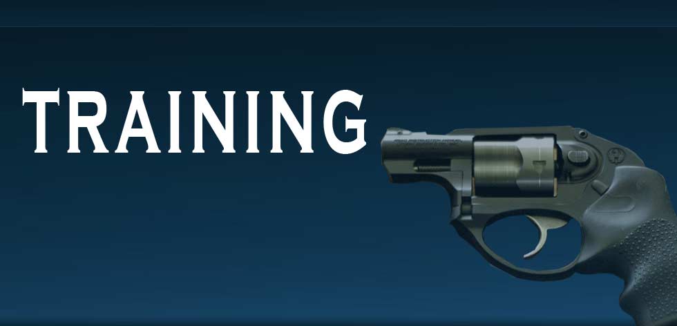 nivo slider image